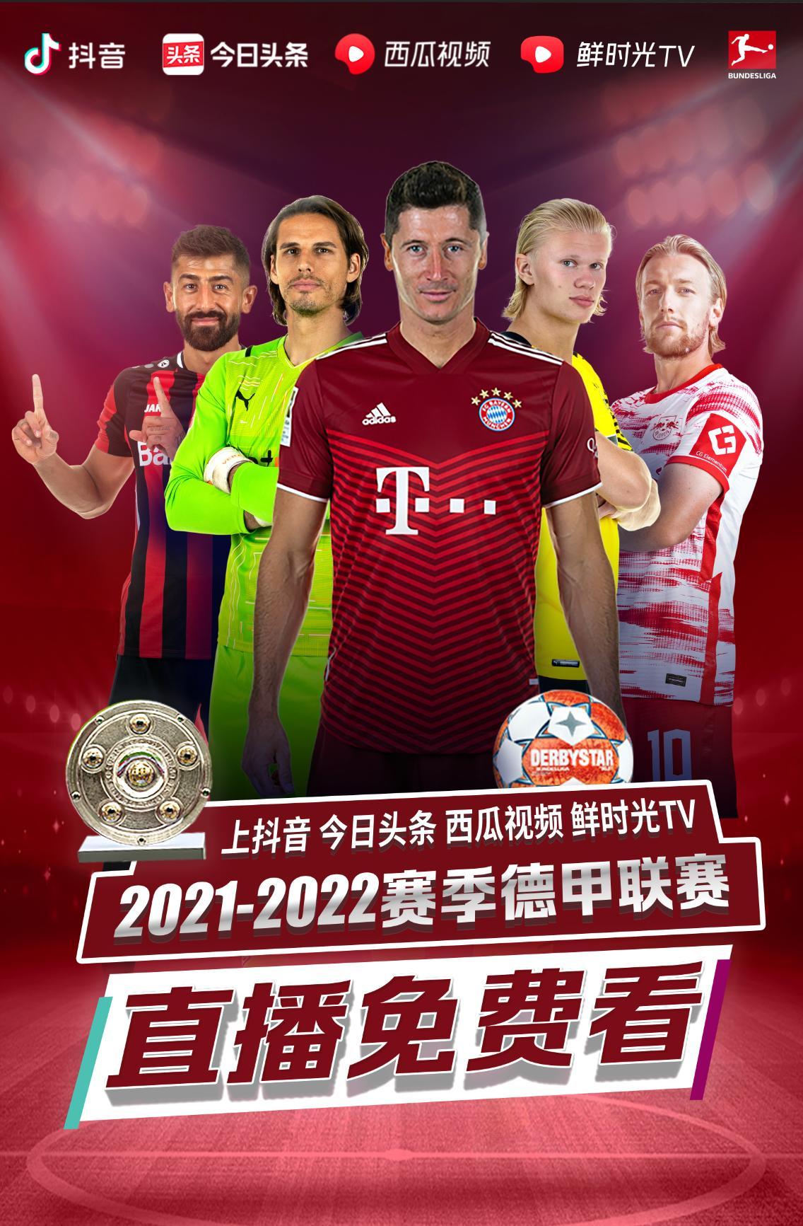 的球员纵观